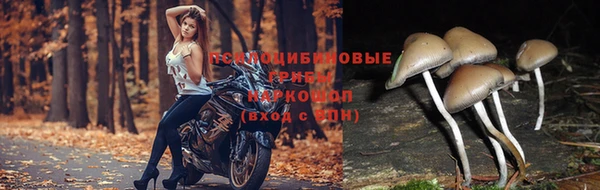 твердый Балахна