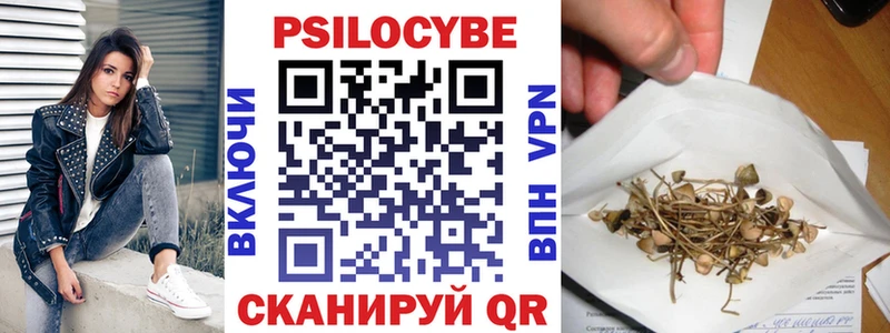 Псилоцибиновые грибы Cubensis  Унеча 